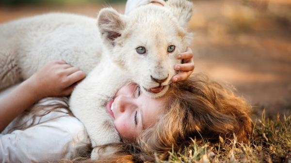 Mia i bijeli lav