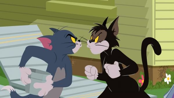 The Tom and Jerry Show (2014-2020) online | Lepší.TV