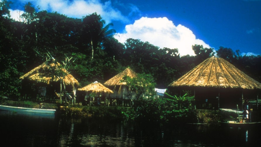 Serije  Amazonija