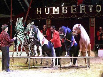 Circus Humberto